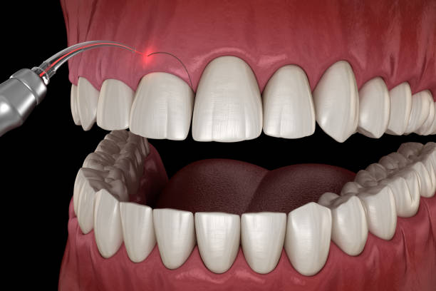 istockphoto-1221090990-612x612